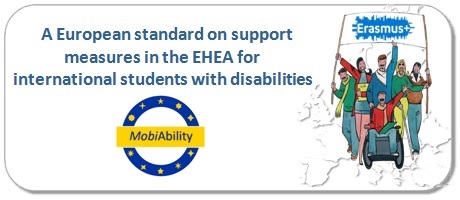 Presentación de Resultados Preliminares del proyecto europeo sobre discapacidad 