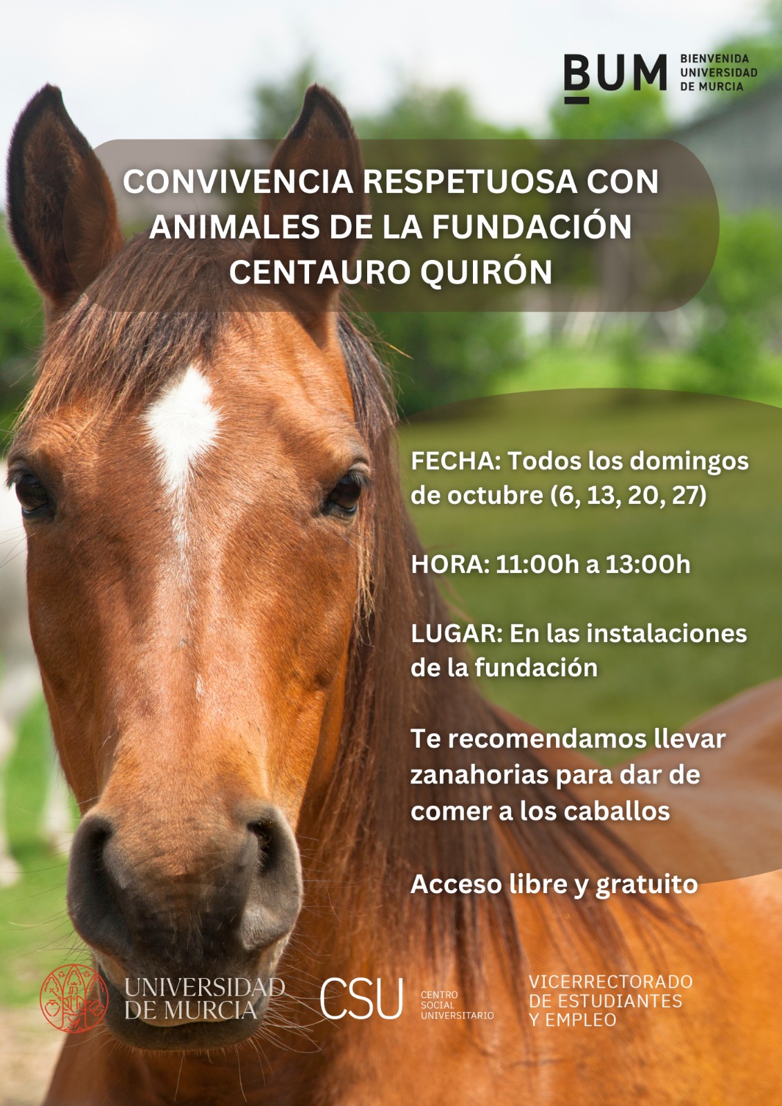 Convivencia respetuosa con animales de la Fundación Centauro Quirón.  